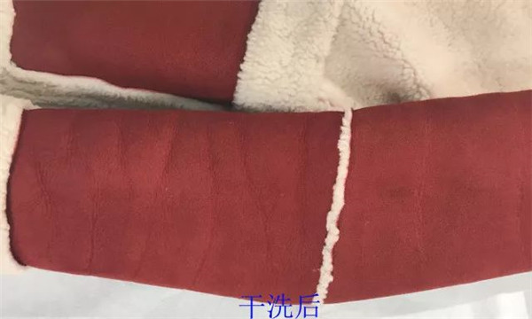 第23期：皮毛一體紅白相間洗護技術