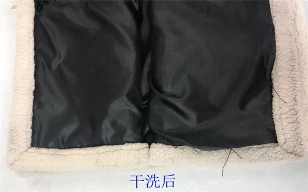 第23期：皮毛一體紅白相間洗護技術